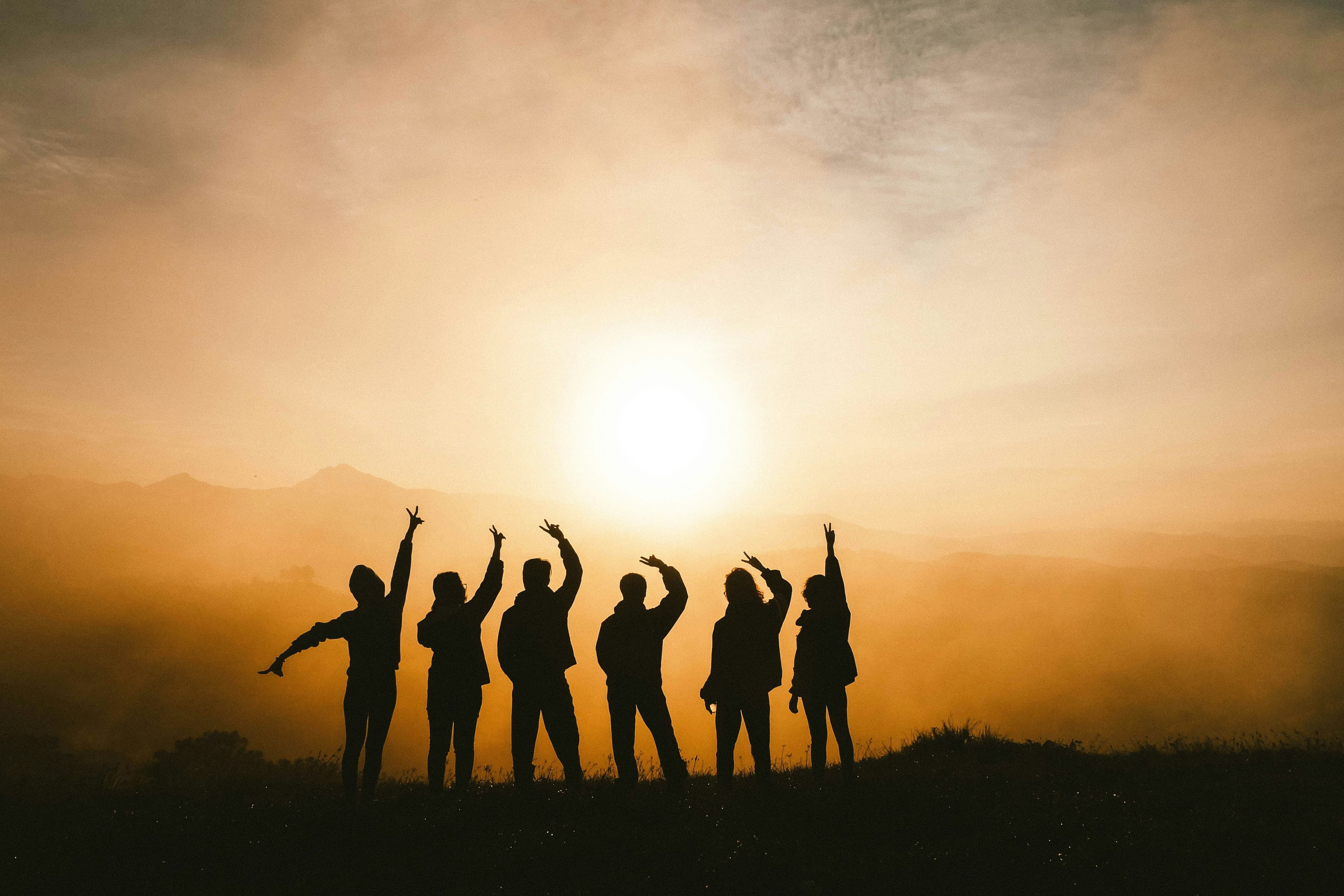 Cover image for Referrals