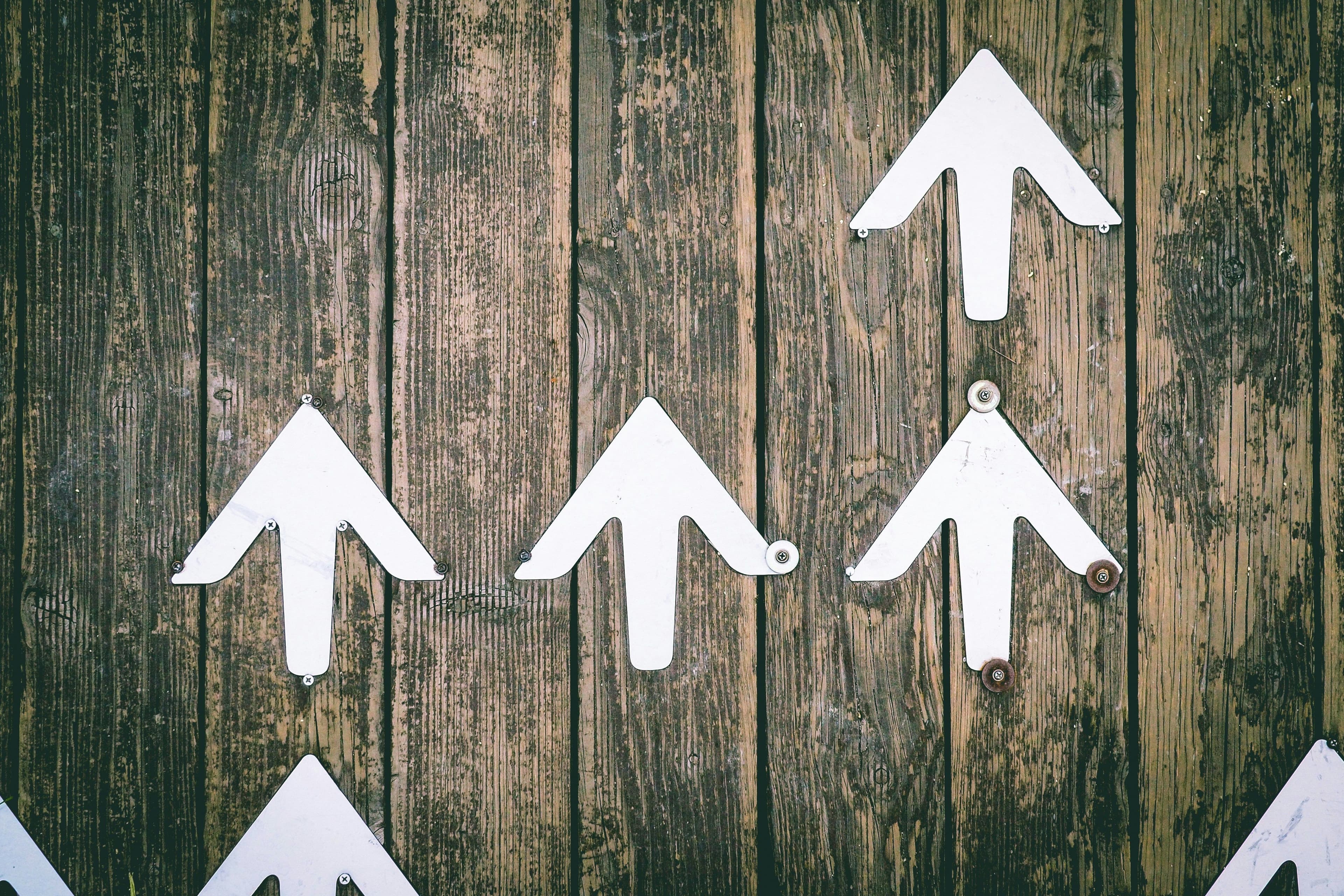 Cover image for Start-ups and scale-ups