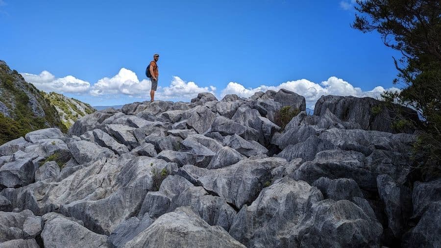 Cover image for About Olivier